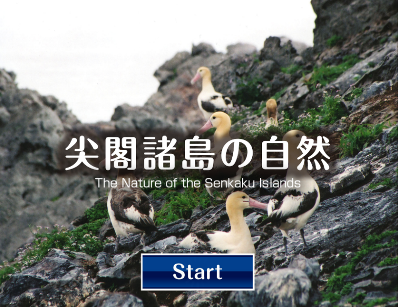 Jiia 日本国際問題研究所