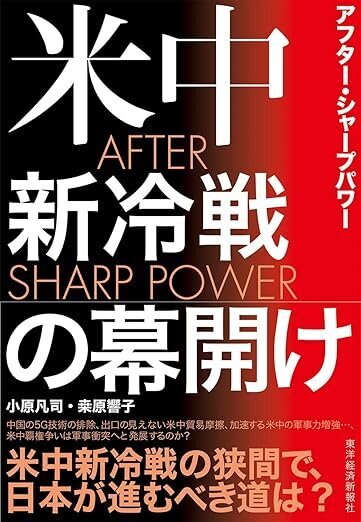 Disinformation Warfare: The War in Your Heads (in Japanese). co-author, Wedge, 2023.